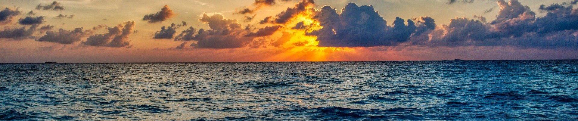 Put alternative text here : no